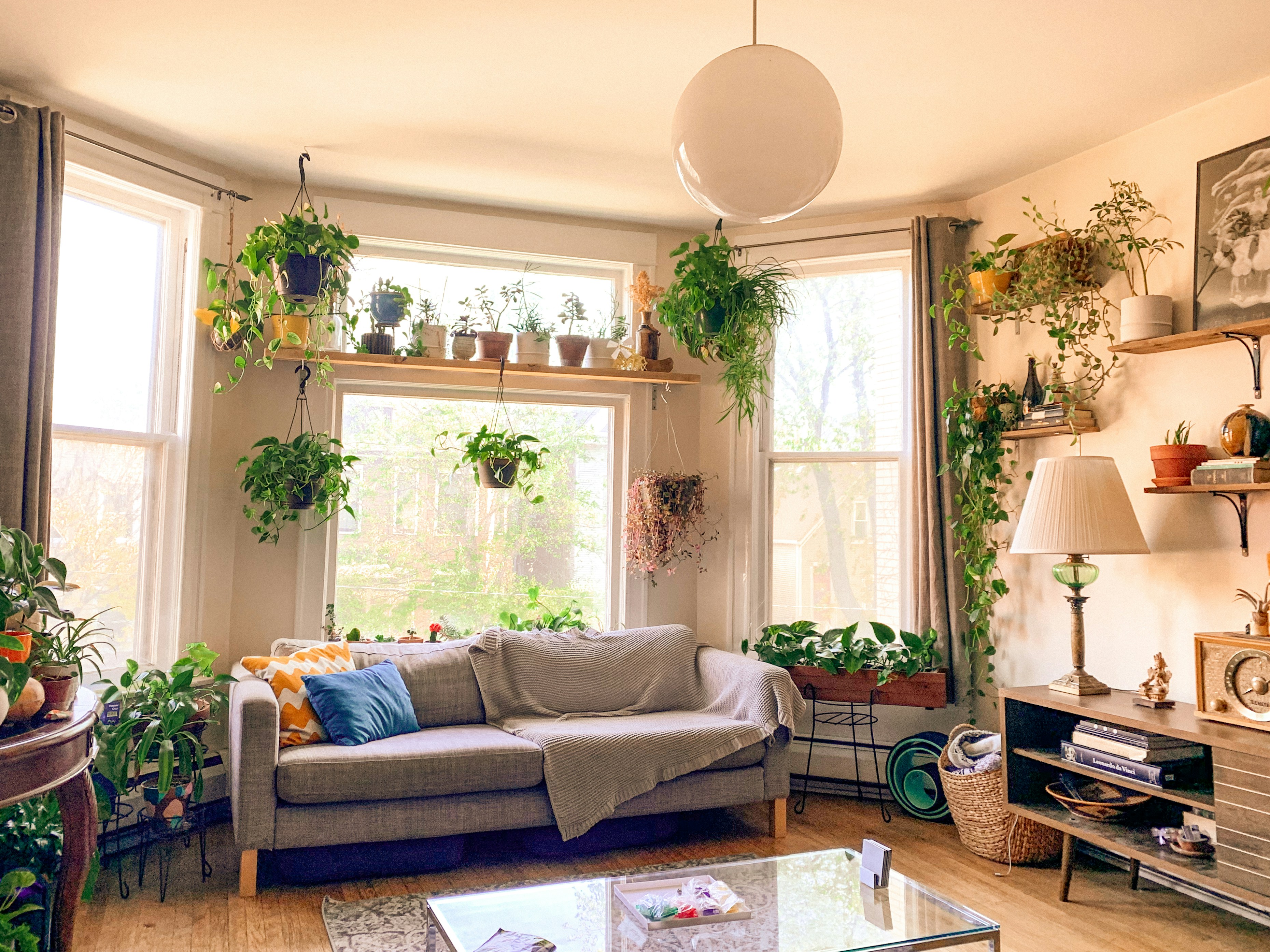 The Power of Indoor Plants